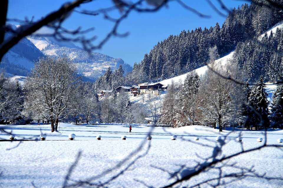 Wintry christmas blue sky photo