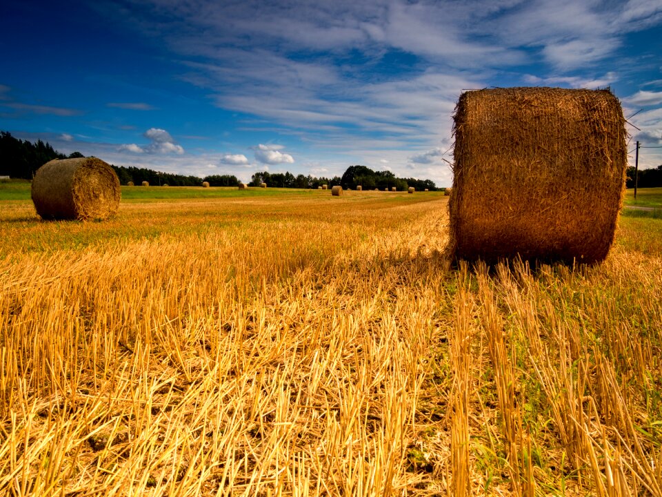 Straw bales agriculture arable