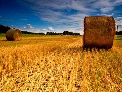 Straw bales agriculture arable