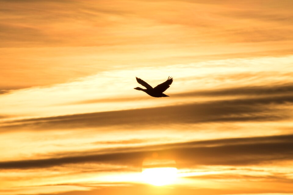 Romantic afterglow abendstimmung
