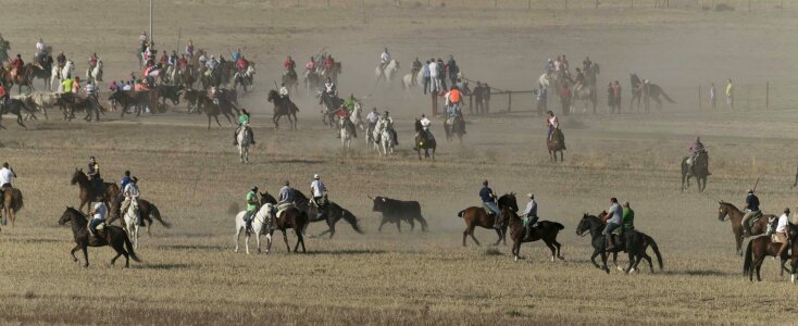 Field spain rider photo