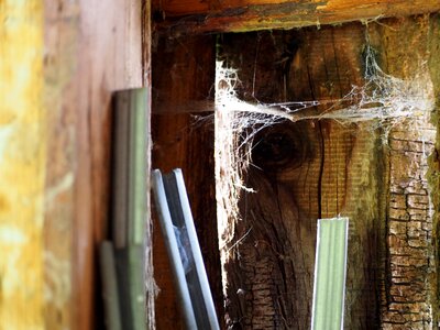Old rustic cobweb photo