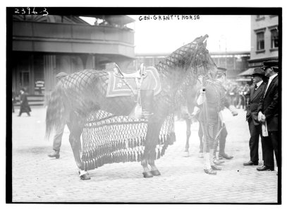 Gen. Grant's horse LCCN2014690370
