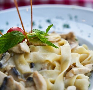 Nutrition backgrounds health
