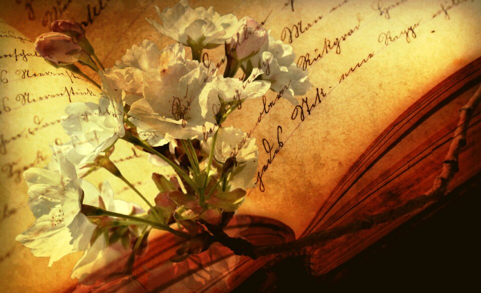 Still life flowering twig decorative