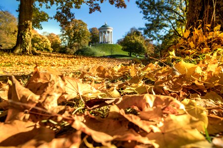 Golden autumn nature fall color photo