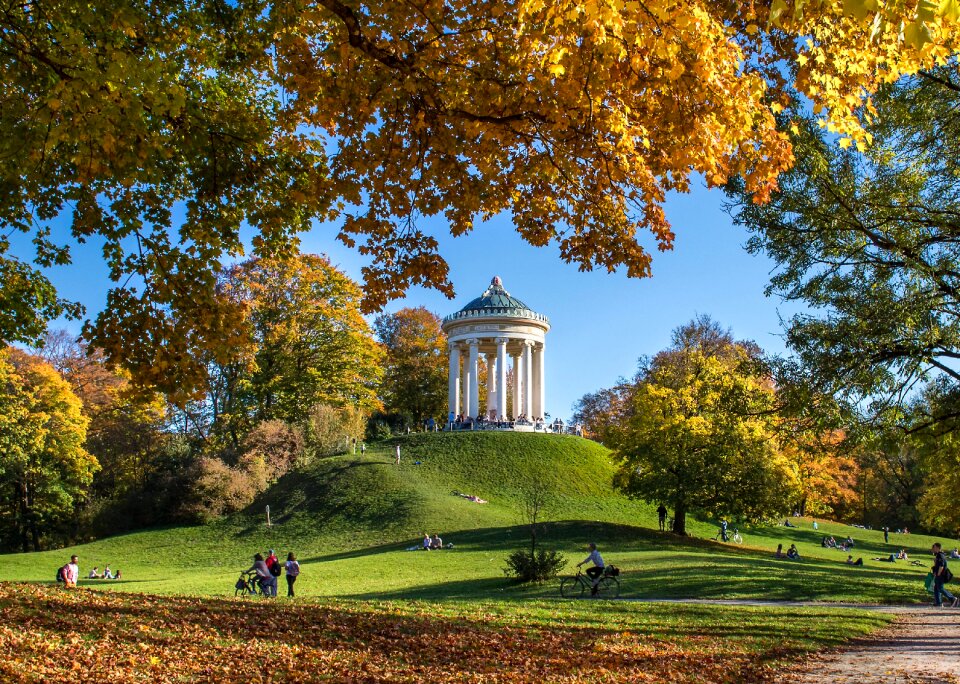 Golden autumn nature fall color