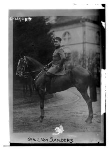 Gen. L. Von Sanders LCCN2014694983
