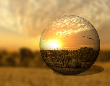 Artistic art print digital art