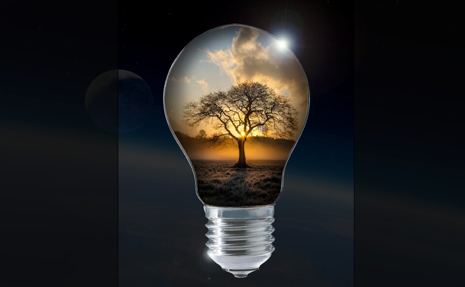 Light bulb energy tree