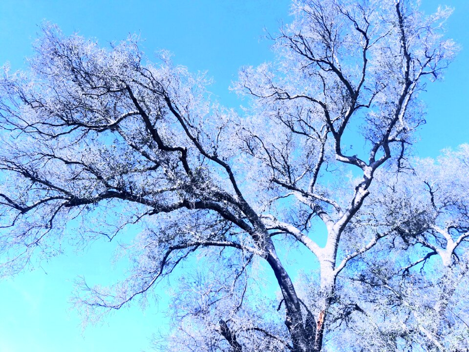 Seasons nature black star canyon