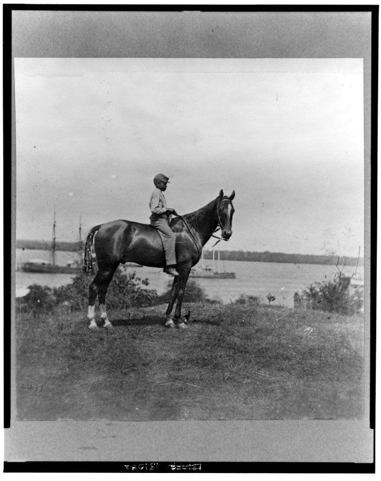 Gen. Rawlin's horse taken at Cold Harbor, Va LCCN2002712120