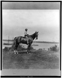 Gen. Rawlin's horse taken at Cold Harbor, Va LCCN2002712120
