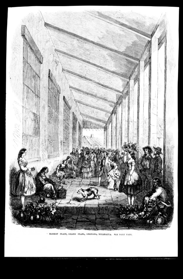 Gen. Wm. Walker's Exp. in Nicaragua)- Market place, Grand Plaza, Granada LCCN99614155