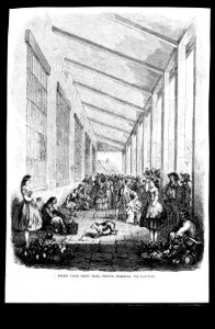Gen. Wm. Walker's Exp. in Nicaragua)- Market place, Grand Plaza, Granada LCCN99614155