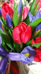 Floral bright bloom