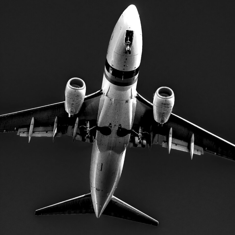Fly travel transport