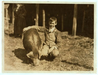 Guy Baily, prize winner, - a 14 year old Club Member from Lewis Co. with his exhibit. State 4 H Club Fair, - Charleston, W. Va. LOC nclc.04434