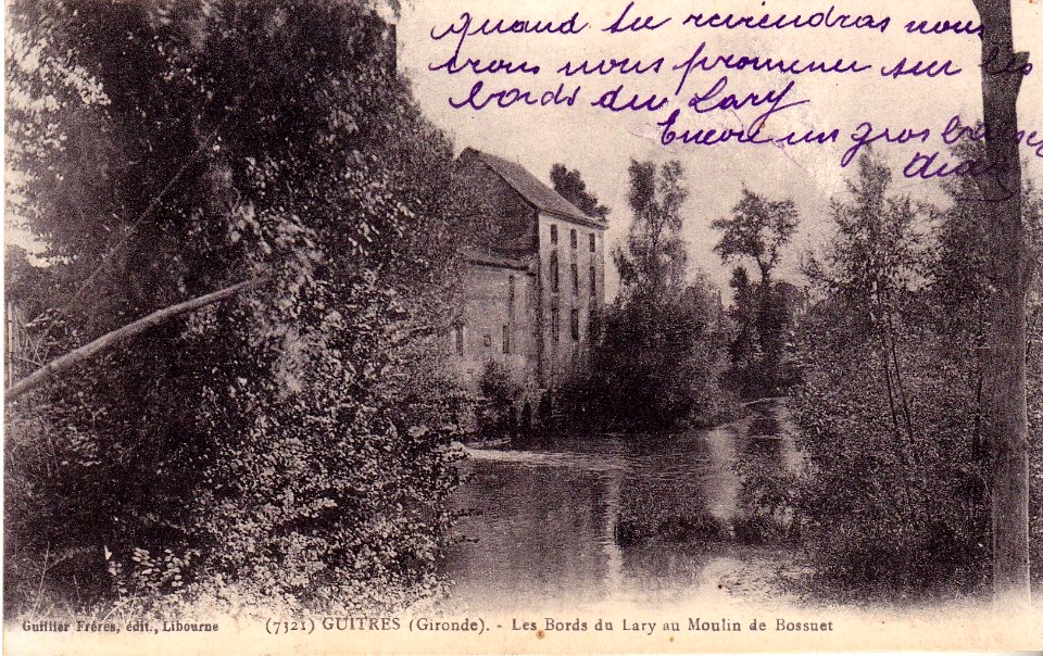 Guîtres - bords du Lary 1