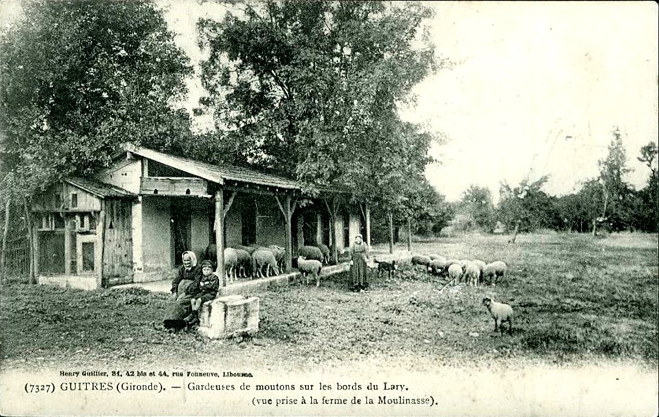 Guîtres - bords du Lary 4