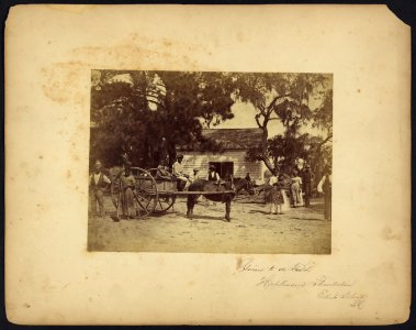 Gwine to de field, Hopkinson's Plantation, Edisto Island, S.C. LCCN2010651643