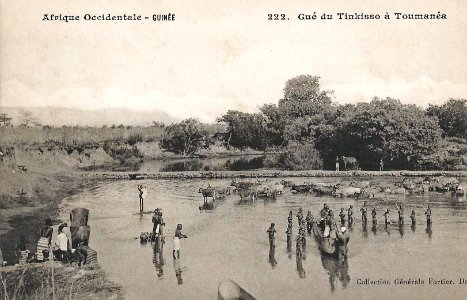 Gué du Tinkisso à Toumanéa (Guinée)