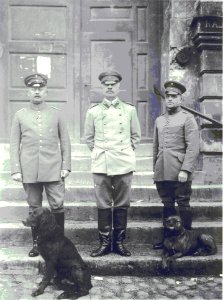 Günther von Pappritz