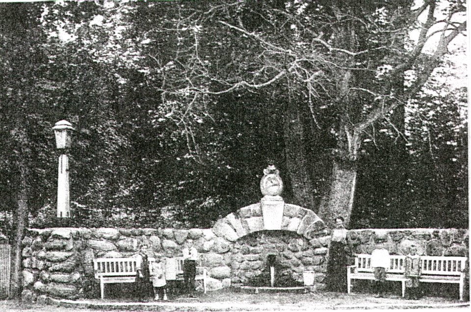Gülzow - żródło wody z żabką