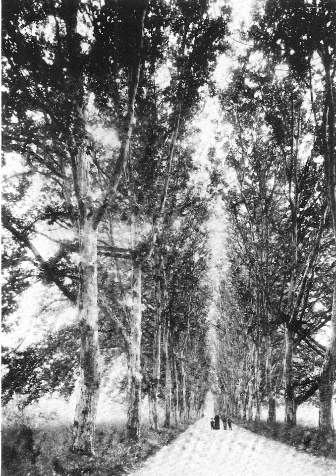 H Bauer - Platenenallee 1892 (HBTB41)