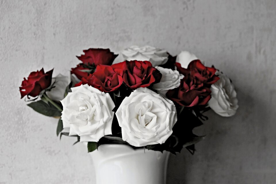 Strauss flowers congratulations