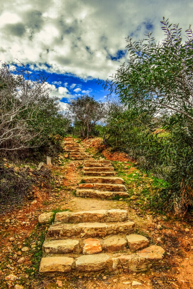 Stairway nature scenery