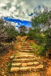Stairway nature scenery
