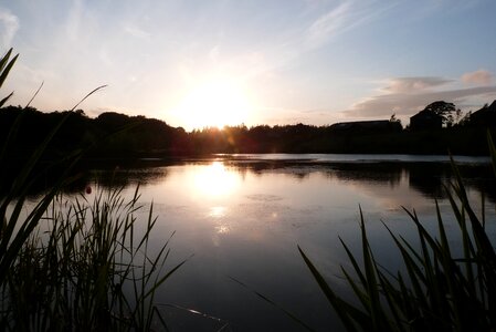 Water nature summer