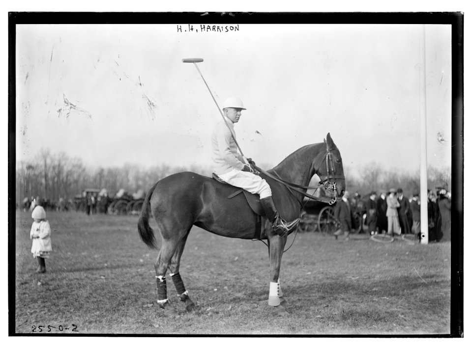 H.H. Harrison (on horse) - polo LCCN2014692038
