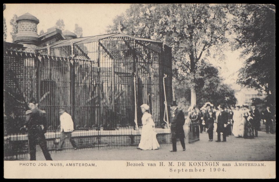 H.M. Koningin Wilhelmina tijdens een bezoek aan Artis, Amsterdam. Uitgave Jos Nuss, Amsterdam, Afb PBKD00458000016