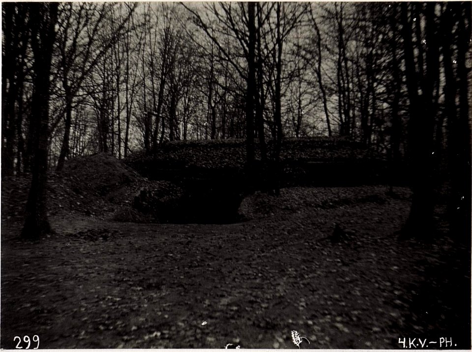 Ha.Ha.Elektrizitätswerk im Wald, Stara Dubrawa (BildID 15704079)