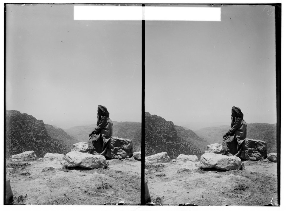 East of the Jordan and Dead Sea. View from Dana, looking W. LOC matpc.01690