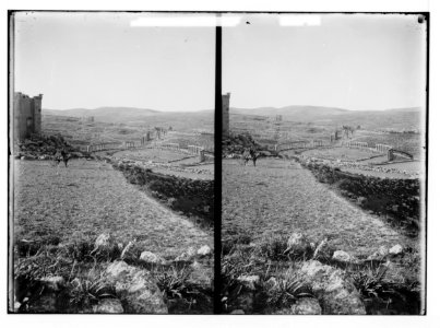 East of the Jordan and the Dead Sea. General view of Jerash LOC matpc.02259