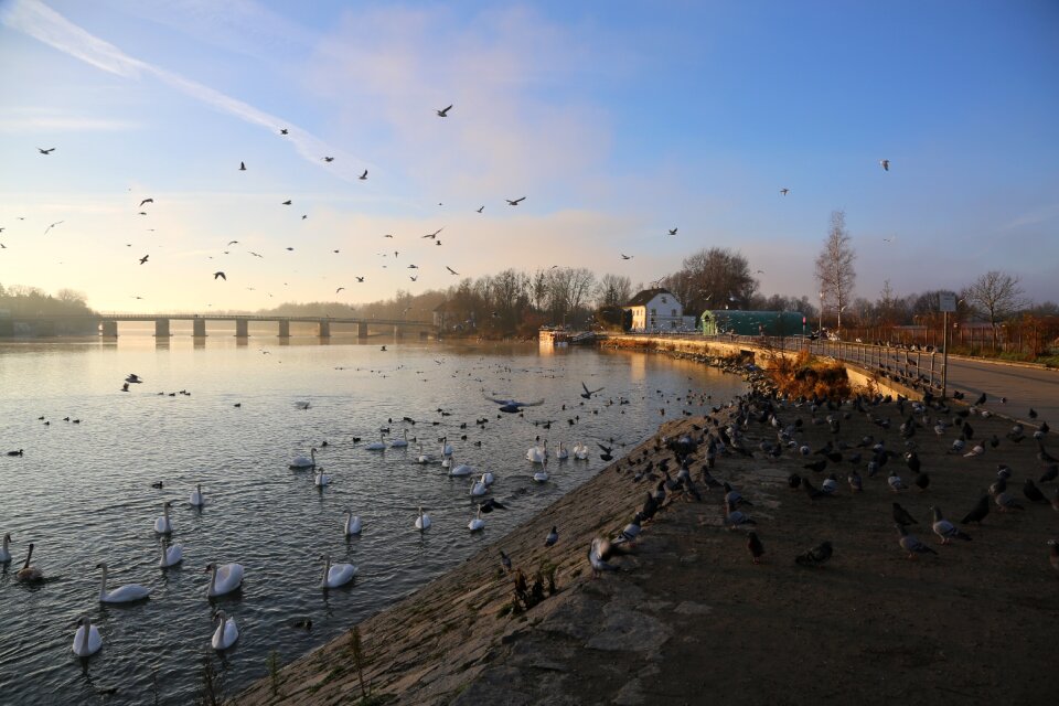 River horizontal panorama