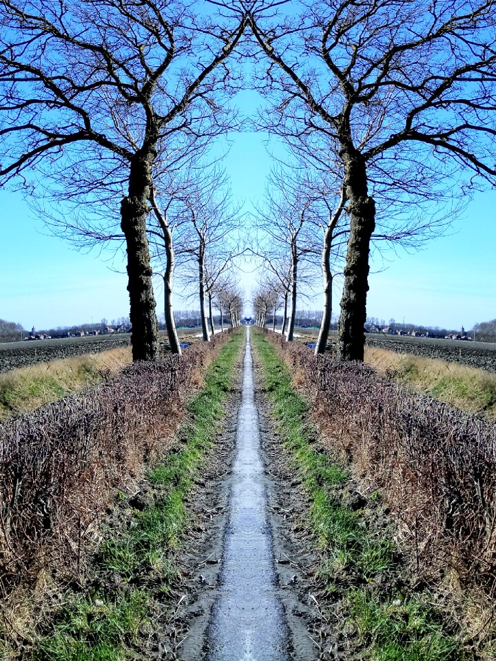 Landscape road season