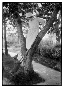 Easton (playing with dog in tree) LCCN2014714434