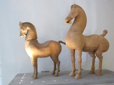 Eastern Han terracotta horse figurine photo