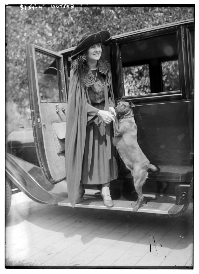Easton (with dog on dashboard of car) LCCN2014714422