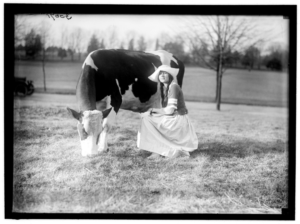 ECKLES, VIRGINIA. IN DUTCH DAIRY-MAID COSTUME, WITH COW LCCN2016869769