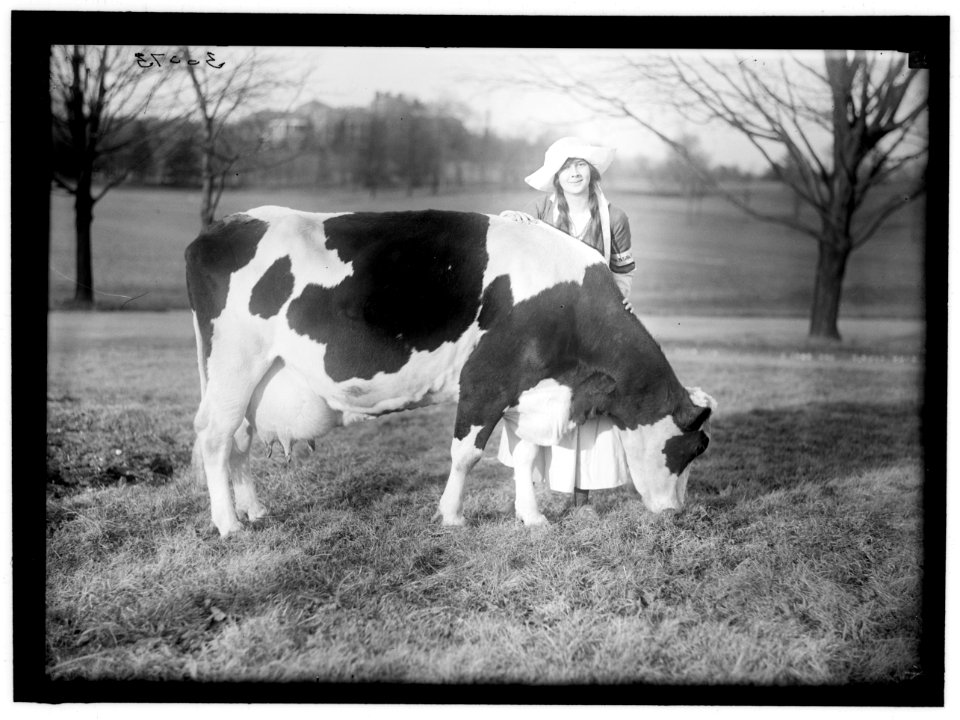 ECKLES, VIRGINIA. IN DUTCH DAIRY-MAID COSTUME, WITH COW LCCN2016869771