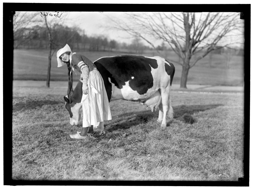 ECKLES, VIRGINIA. IN DUTCH DAIRY-MAID COSTUME, WITH COW LCCN2016869766