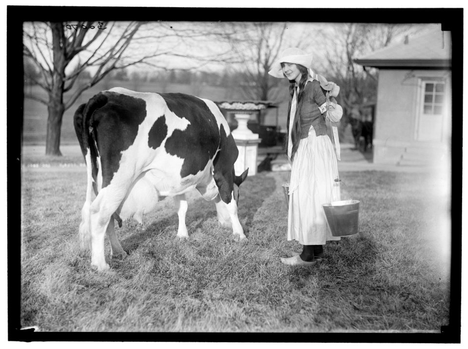ECKLES, VIRGINIA. IN DUTCH DAIRY-MAID COSTUME, WITH COW LCCN2016869768