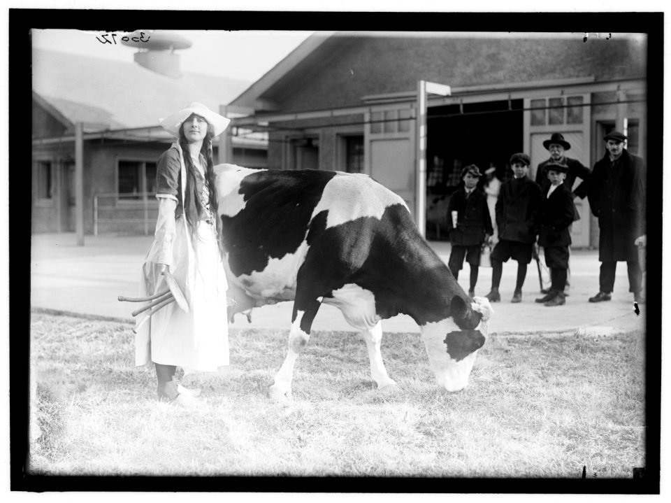 ECKLES, VIRGINIA. IN DUTCH DAIRY-MAID COSTUME, WITH COW LCCN2016869770