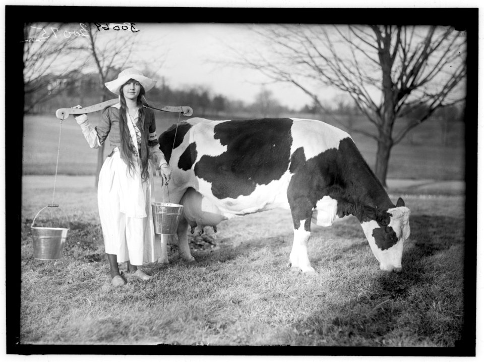 ECKLES, VIRGINIA. IN DUTCH DAIRY-MAID COSTUME, WITH COW LCCN2016869772