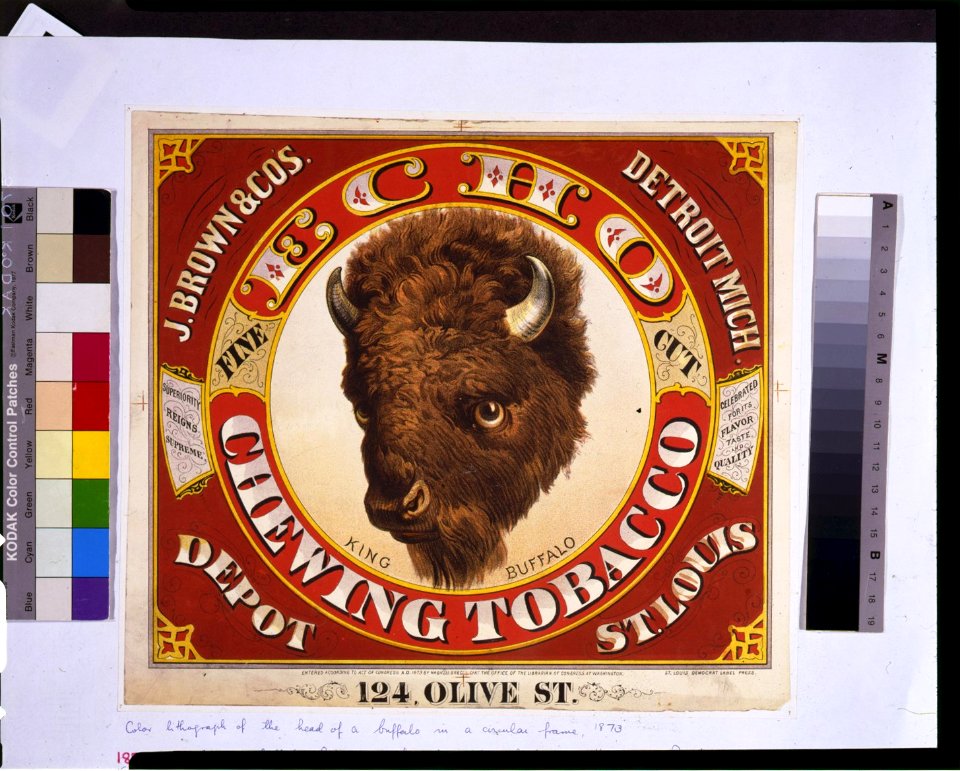 Echo chewing tobacco-King buffalo-Fine cut - St. Louis Democrat Label Press. LCCN96504705